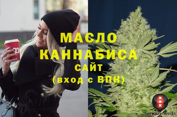 крисы Медногорск