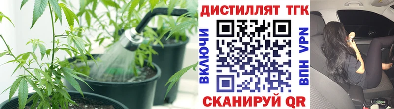 Дистиллят ТГК концентрат  OMG ссылки  Бердск 