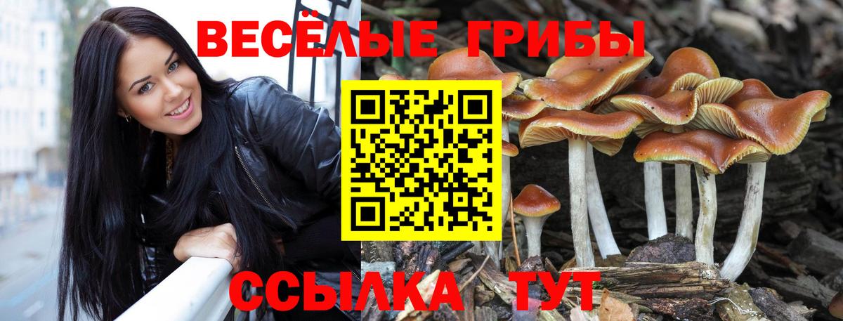 Галлюциногенные грибы мухоморы  Бердск  Галлюциногенные грибы Magic Shrooms 