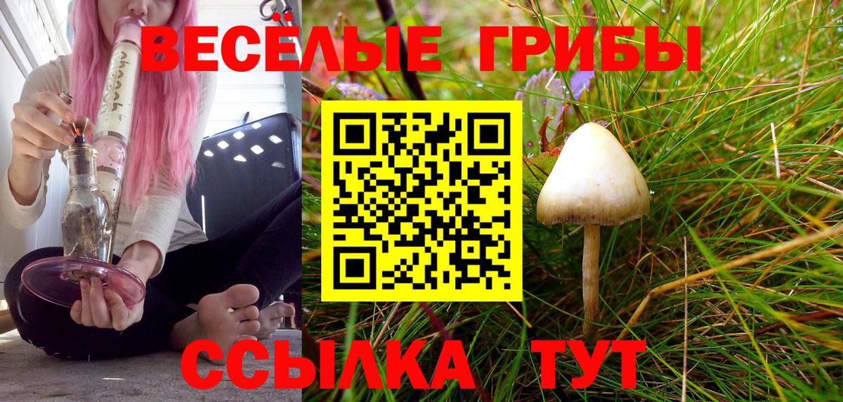 Галлюциногенные грибы мухоморы Бердск